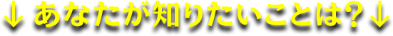 ↓あなたが知りたいことは？↓